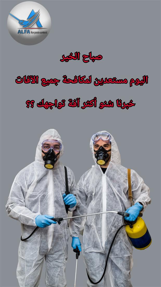 تصميم استوري احترافي لعلامة تجارية رقم 38