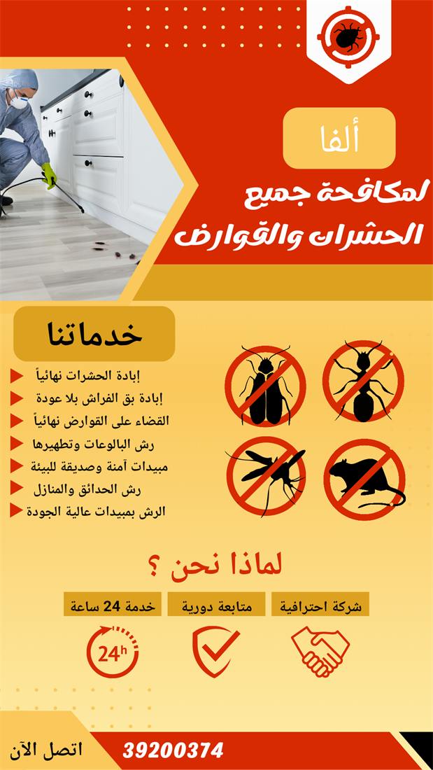 تصميم استوري احترافي لعلامة تجارية رقم 83
