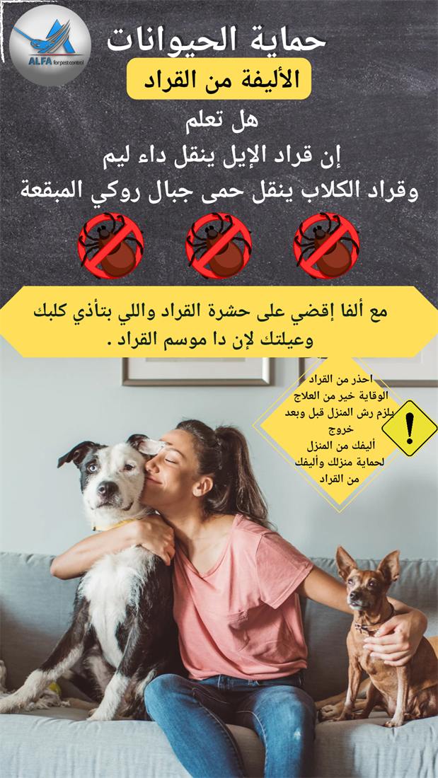 تصميم استوري احترافي لعلامة تجارية رقم 107