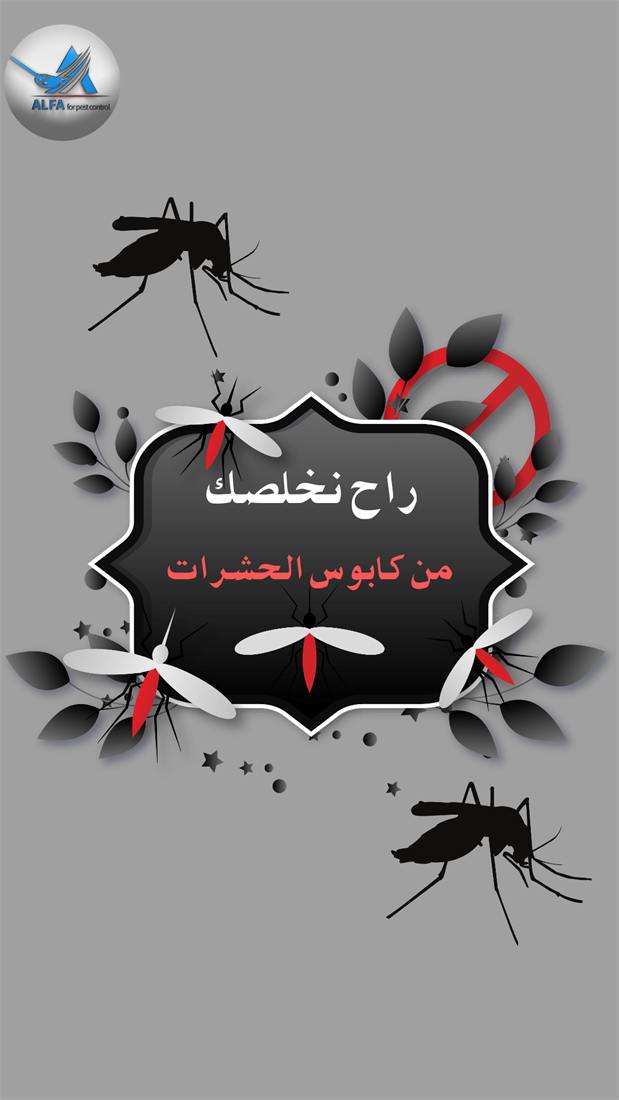 تصميم استوري احترافي لعلامة تجارية رقم 126