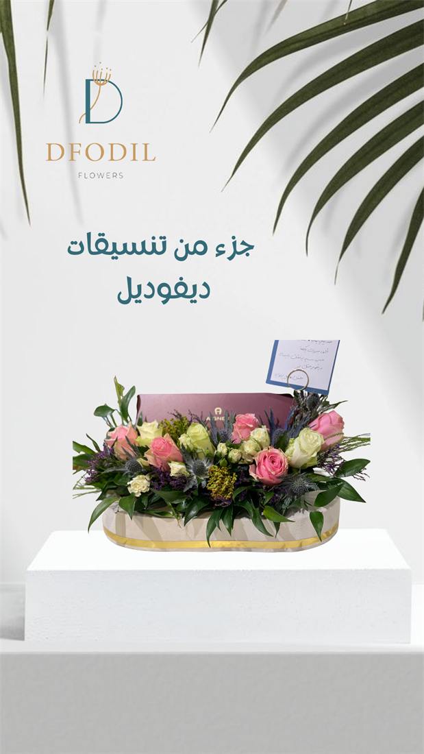تصميم استوري احترافي لعلامة تجارية رقم 129